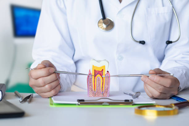 Best Emergency Dentist for Lost Fillings or Crowns in Placentia, CA